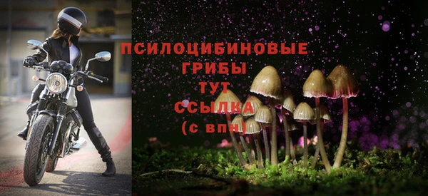 экстази Алзамай